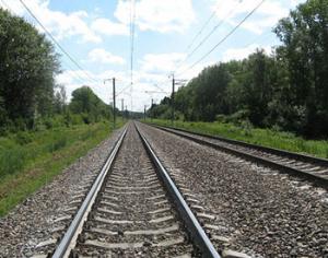 63% населения России считают электрички бесплатным видом транспорта