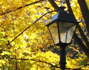 В Севастополе откроют музей, посвящённый фонарям