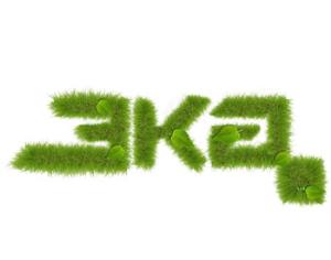 День эколога в Парке Горького