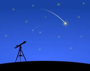 Московский планетарий откроется 12 июня, а оранжерея в зоопарке — в конце года