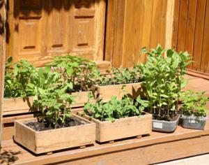 Дача — не место для отдыха