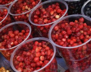 Введён новый ГОСТ на землянику