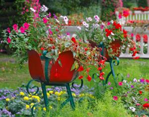 Прокурор Подмосковья: жителей области испортил земельный вопрос