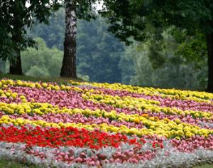 IX Выставка ландшафтных садов на ВВЦ