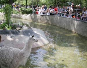Московский зоопарк открыт