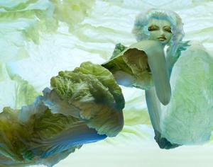 Китайская художница создала картины из листьев капусты