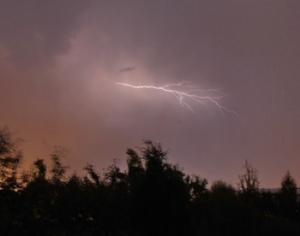 Москва оказалась во влажных субтропиках