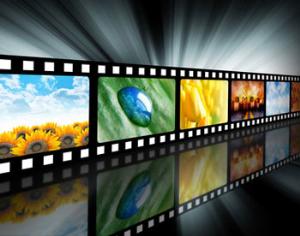 WWF проводит конкурс короткометражных фильмов о единении с природой