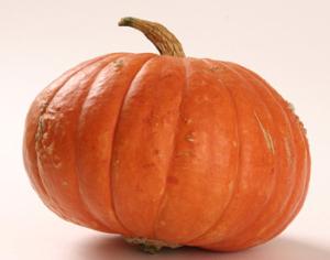 Огородники Екатеринбурга выращивают игрушки для тигров