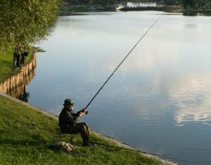 Россия — страна грибников и рыбаков