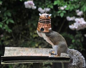Кормушка превращает белку в инопланетянина-мутанта