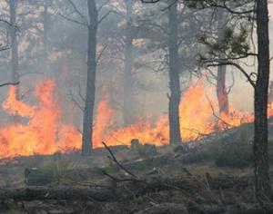 В России продолжают полыхать пожары