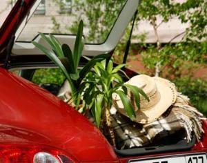 На Ленинградском шоссе открылся новый дачный супермаркет