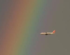 Биотопливо начали применять на регулярных авиарейсах