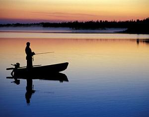 Закон о любительской рыбалке можно исправить онлайн
