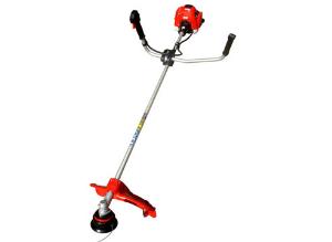 Яркое Solo в саду