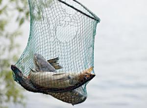 Фестиваль рыболовов пройдет в Карелии