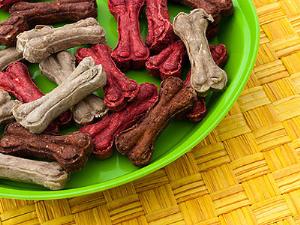 В Британии открылся паб для собак