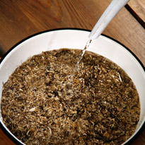 Как выращивать грибы: готовим субстрат. Шаг 1