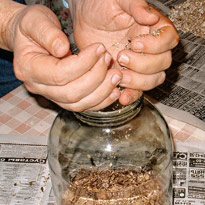 Как выращивать грибы: готовим субстрат. Шаг 2