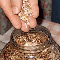 Как выращивать грибы: готовим субстрат. Шаг 5