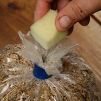 Как выращивать грибы: готовим субстрат. Шаг 7