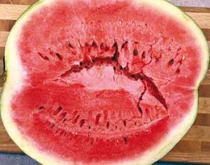 Онищенко советует не покупать арбузы где попало