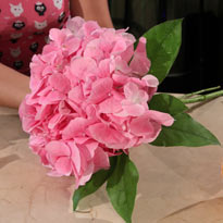 Красивый букет: в школе просто ахнут!. Шаг 5