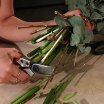 Букет любимому учителю: мужское решение. Шаг 9