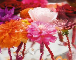 Девушки с активной экологической позицией могут побороться за зеленое ожерелье