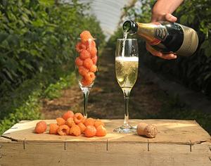 В продаже появилась желтая и черная малина