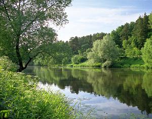 Леса в долине Бикин теперь в безопасности, но надолго ли?