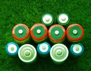 Российские ученые изобрели батарейки из водорослей