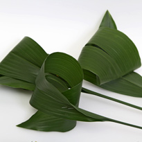 Букет к Дню учителя. Шаг 2