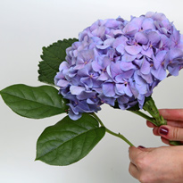 Букет к Дню учителя. Шаг 3