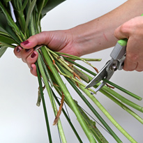 Букет к Дню учителя. Шаг 10