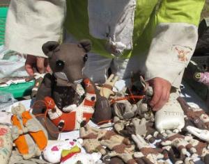 В московском Аптекарском огороде проходит выставка Осеннее пространство