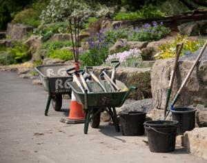 Садоводам отдадут бюджетные деньги