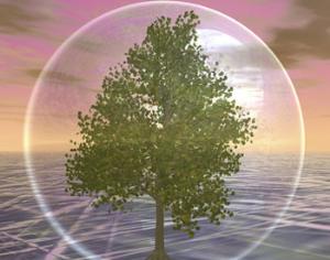 Древесное загрязнение атмосферы озоном сильно преувеличено