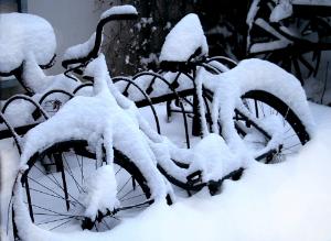 10 правил подготовки велосипеда к зиме