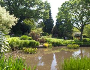 Экологи выступили против эко-домов