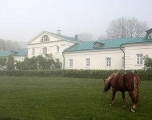 Ясную Поляну застраивать не будут