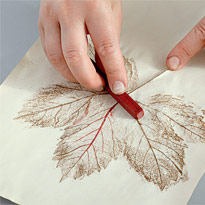 В каждом рисунке – листья. Шаг 1