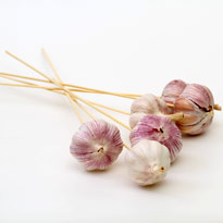 Букет от вампиров к Хэллоуину. Шаг 1