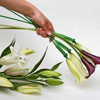 Букет от вампиров к Хэллоуину. Шаг 4