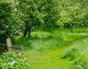 На северо-западе Москвы открылся новый дендропарк