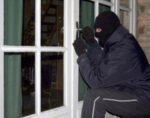 В Подмосковье обокрали две тысячи дач