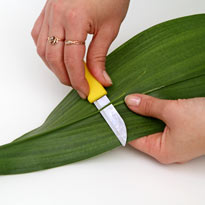 Драпируем ножку букета листом аспидистры. Шаг 1