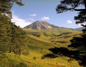 Национальной экологической премией наградили Адыгею