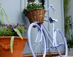 В Доме на Брестской состоится выставка ланшафтной архитектуры